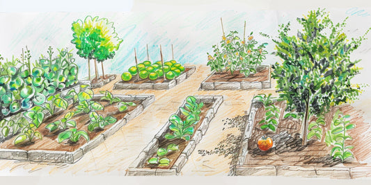 Green Thumbs Across the Continent: A Guide to Starting Your Backyard Garden in North America
